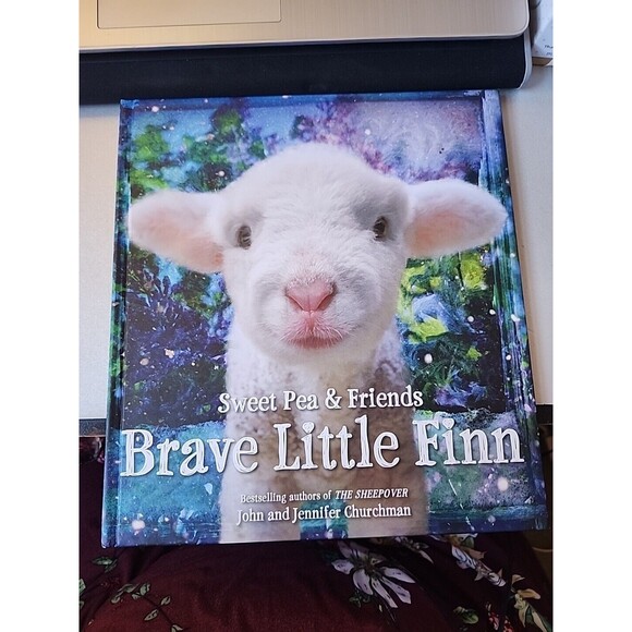 Brave Little Finn by John Churchman and Jennifer Churchman (2016, Picture Book) - Picture 1 of 9